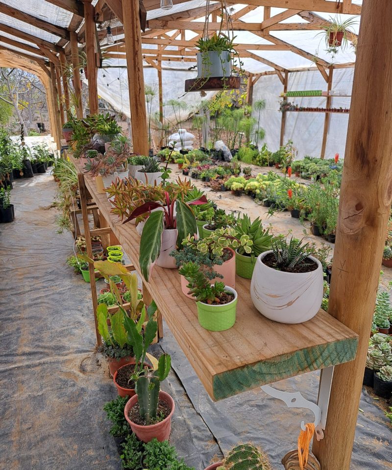 Vivero Vivo Diseño