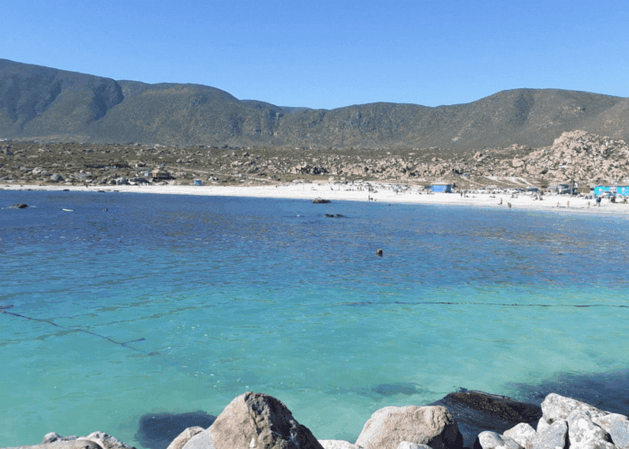 Caleta Totoralillo Sur
