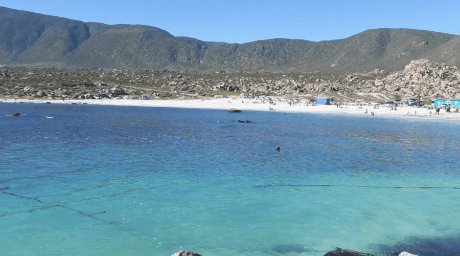 Caleta Totoralillo Sur