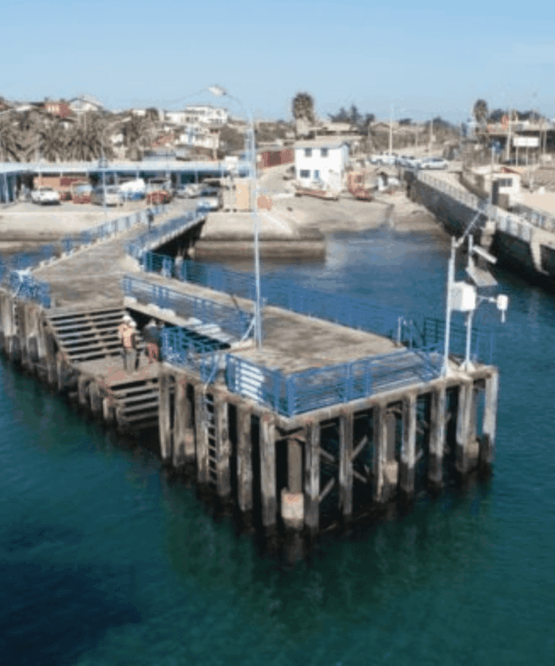 Caleta de Pescadores de Pichidangui