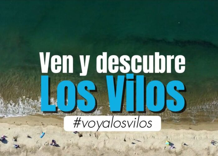 Playas en los Vilos