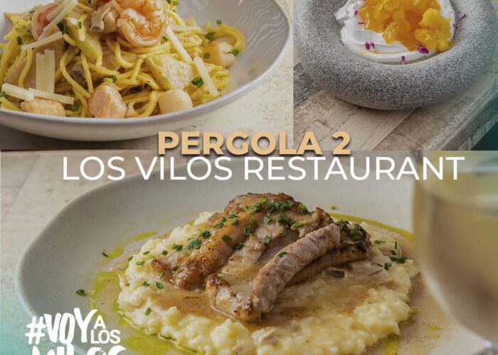 Los Vilos Restaurant Pérgola 2