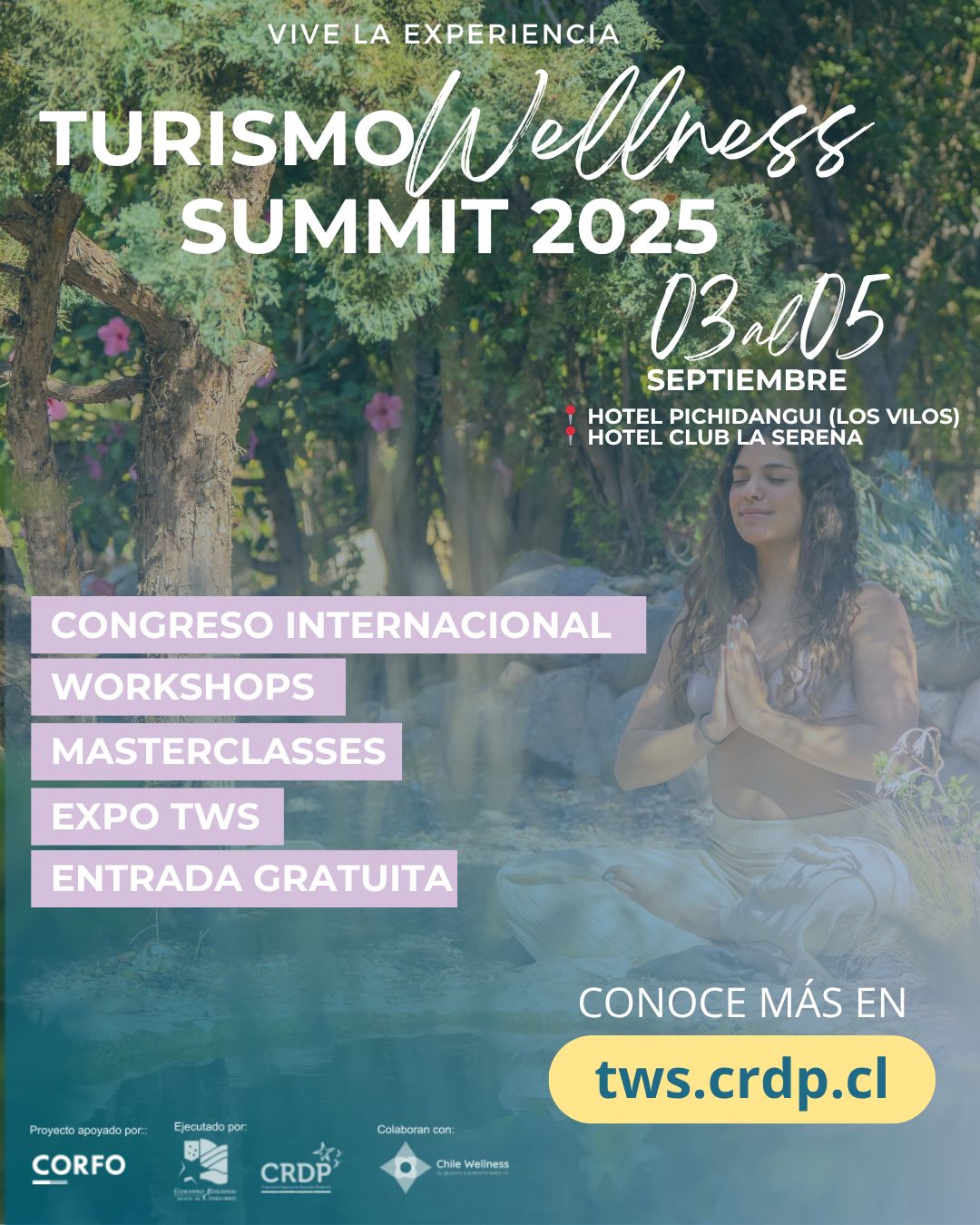 Turismo Wellness Summit Turismo Wellness Summit